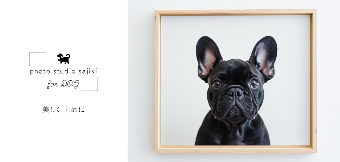 わんこふぉと,dog,dogphoto,ペット