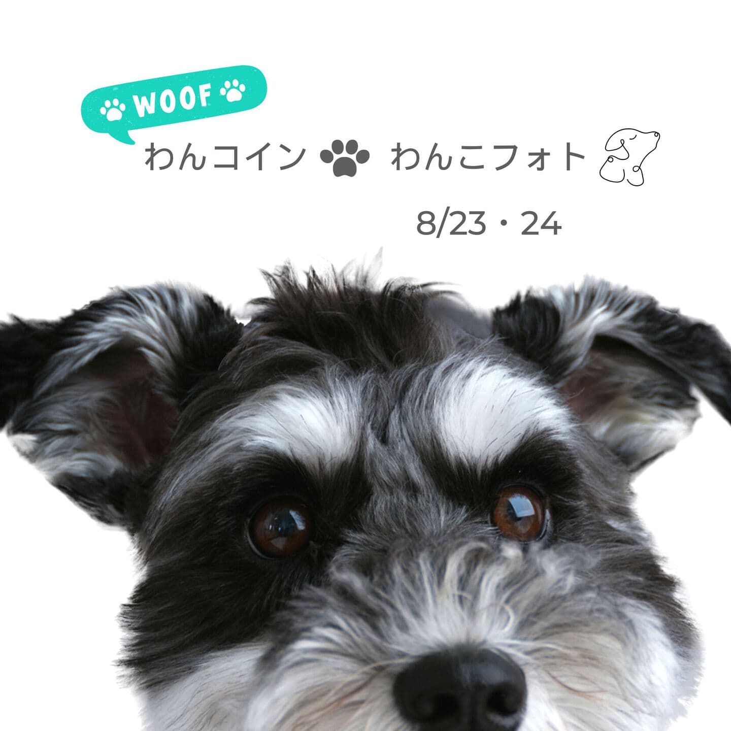 わんコインわんこフォト撮影会