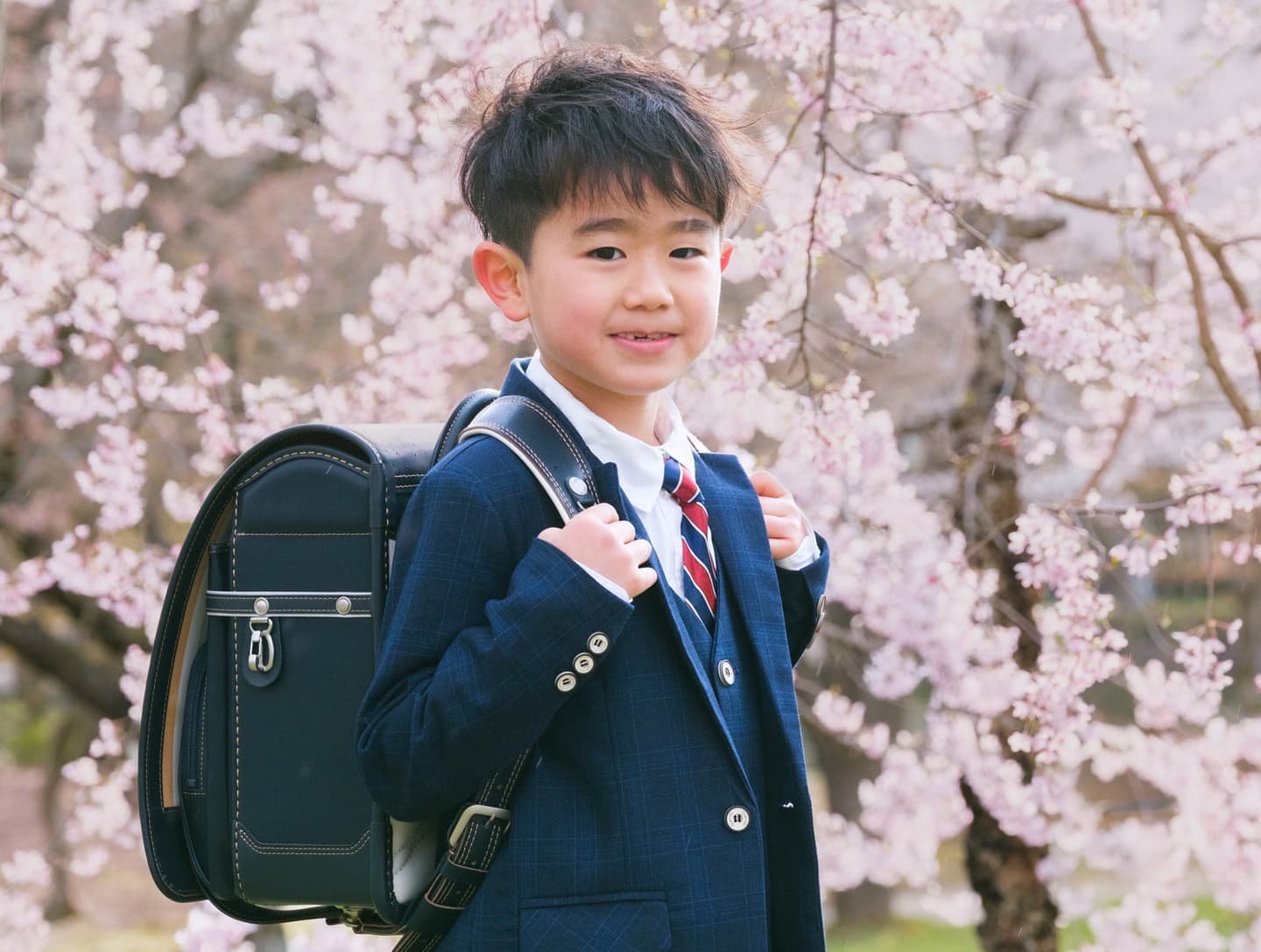入学桜ロケーションフォト