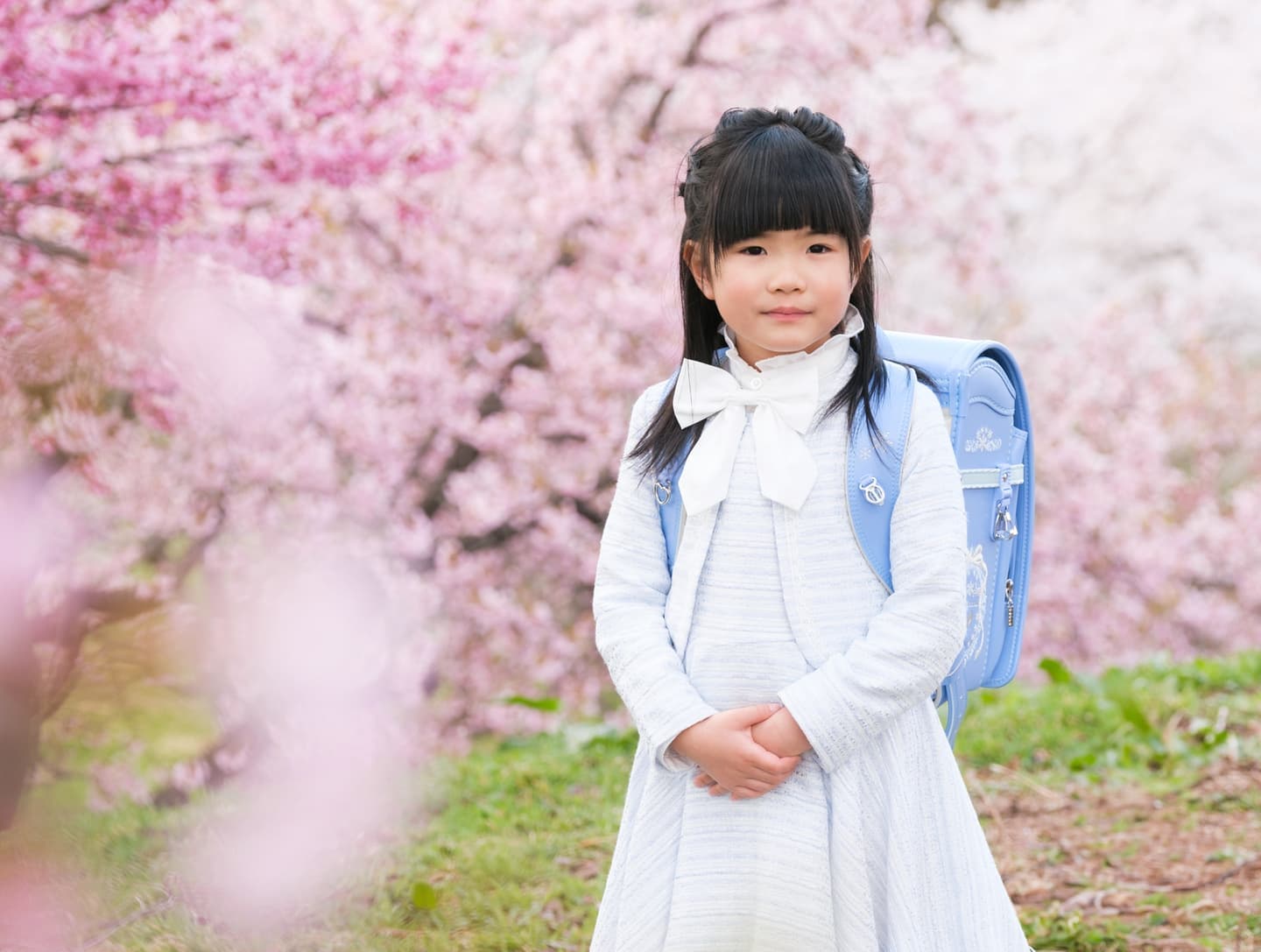 入学桜ロケーションフォト