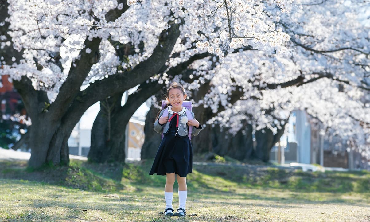入学写真　桜ロケ